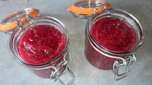 wp-1402778936183 image